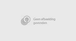 Afbeelding bij Vakantiekrachten